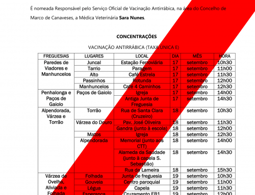 Vacinação Antirrábica